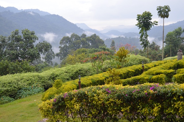 Bwindi Impenetrable Forest